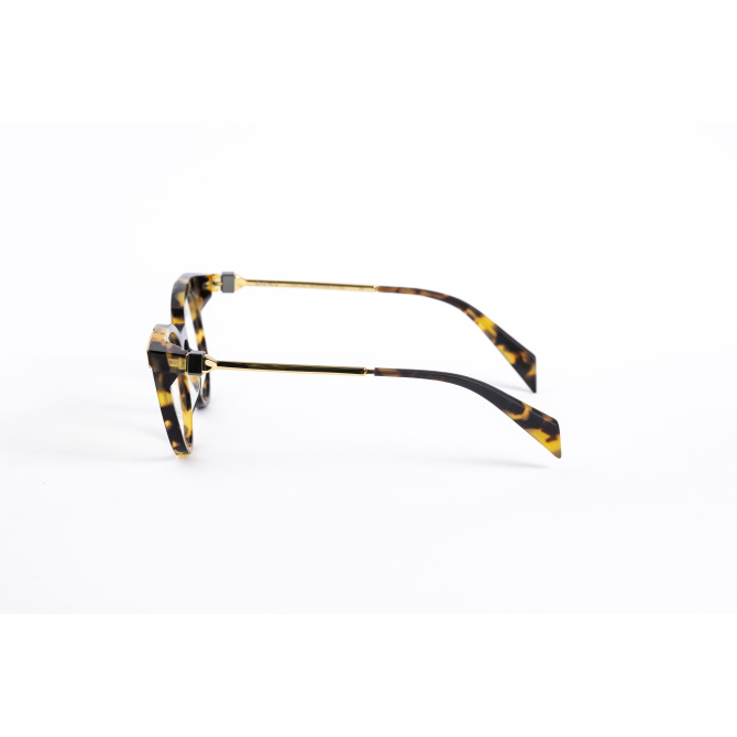_V5A2031_003_DIECIDECIMI_GLASSTYLIST_SIENS_EYE_CODE_Creature_031_0003_tartaruga_