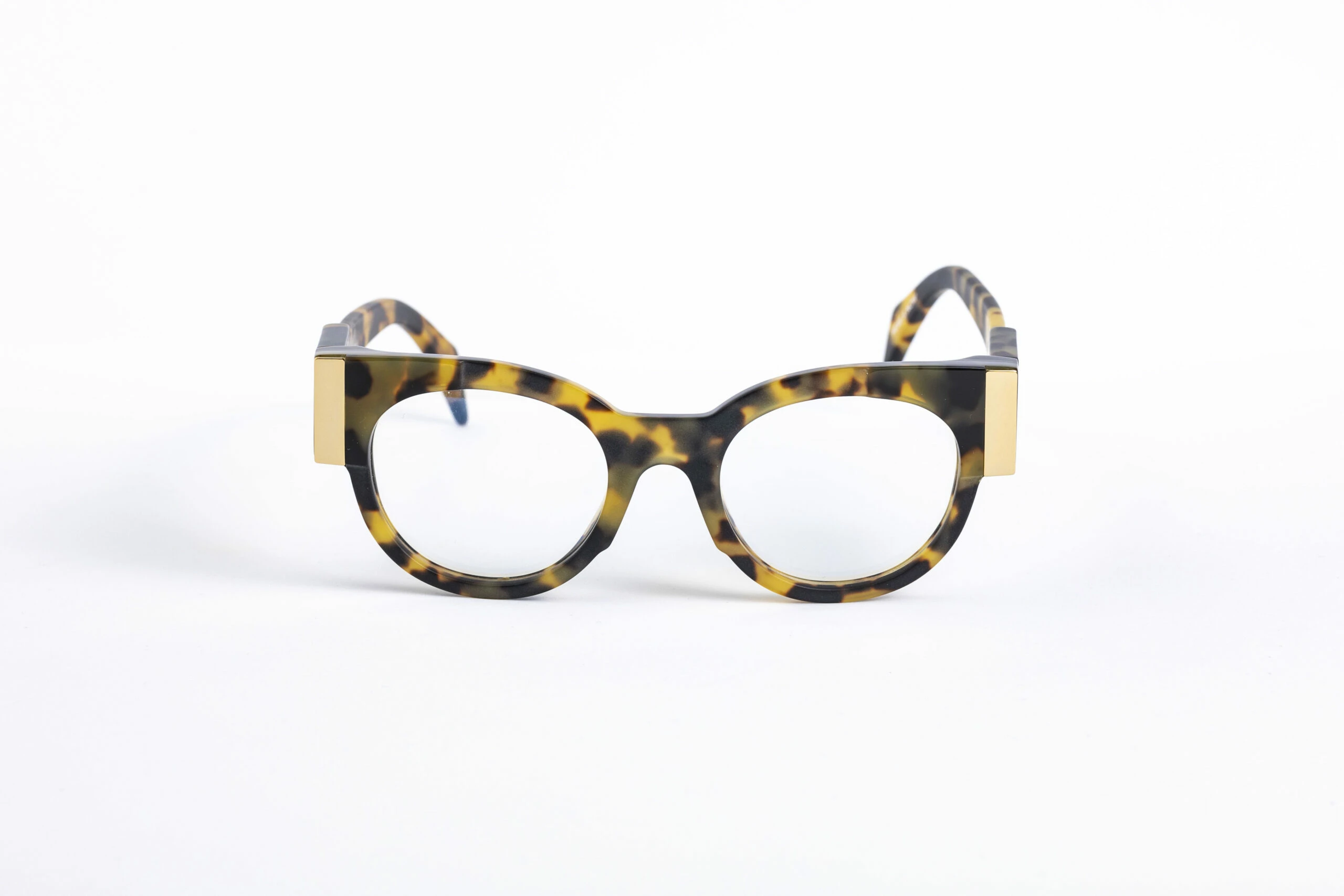 _V5A2037_001_DIECIDECIMI_GLASSTYLIST_SIENS_EYE_CODE_Creature_083_002_tartaruga_