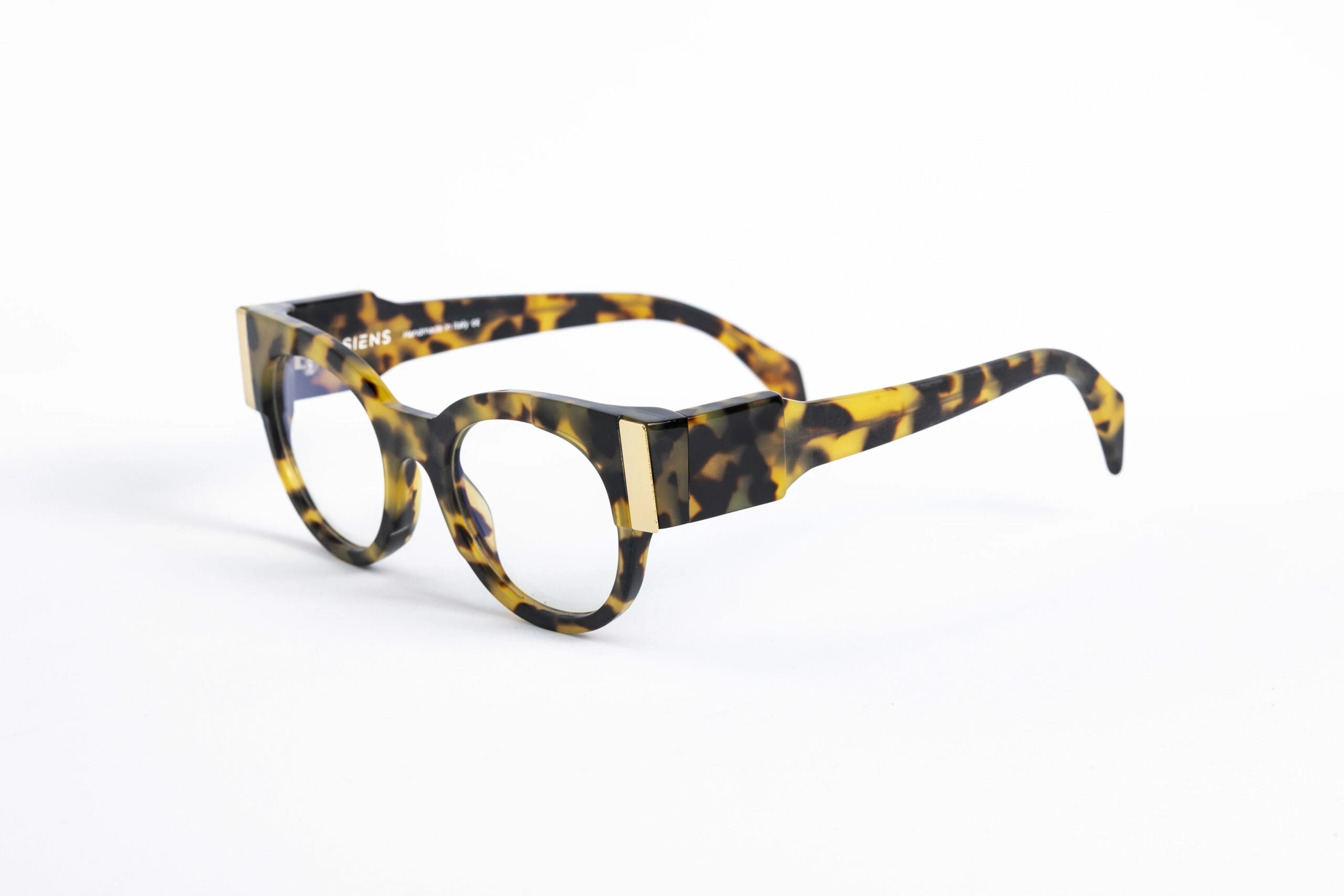 _V5A2038_002_DIECIDECIMI_GLASSTYLIST_SIENS_EYE_CODE_Creature_083_002_tartaruga_