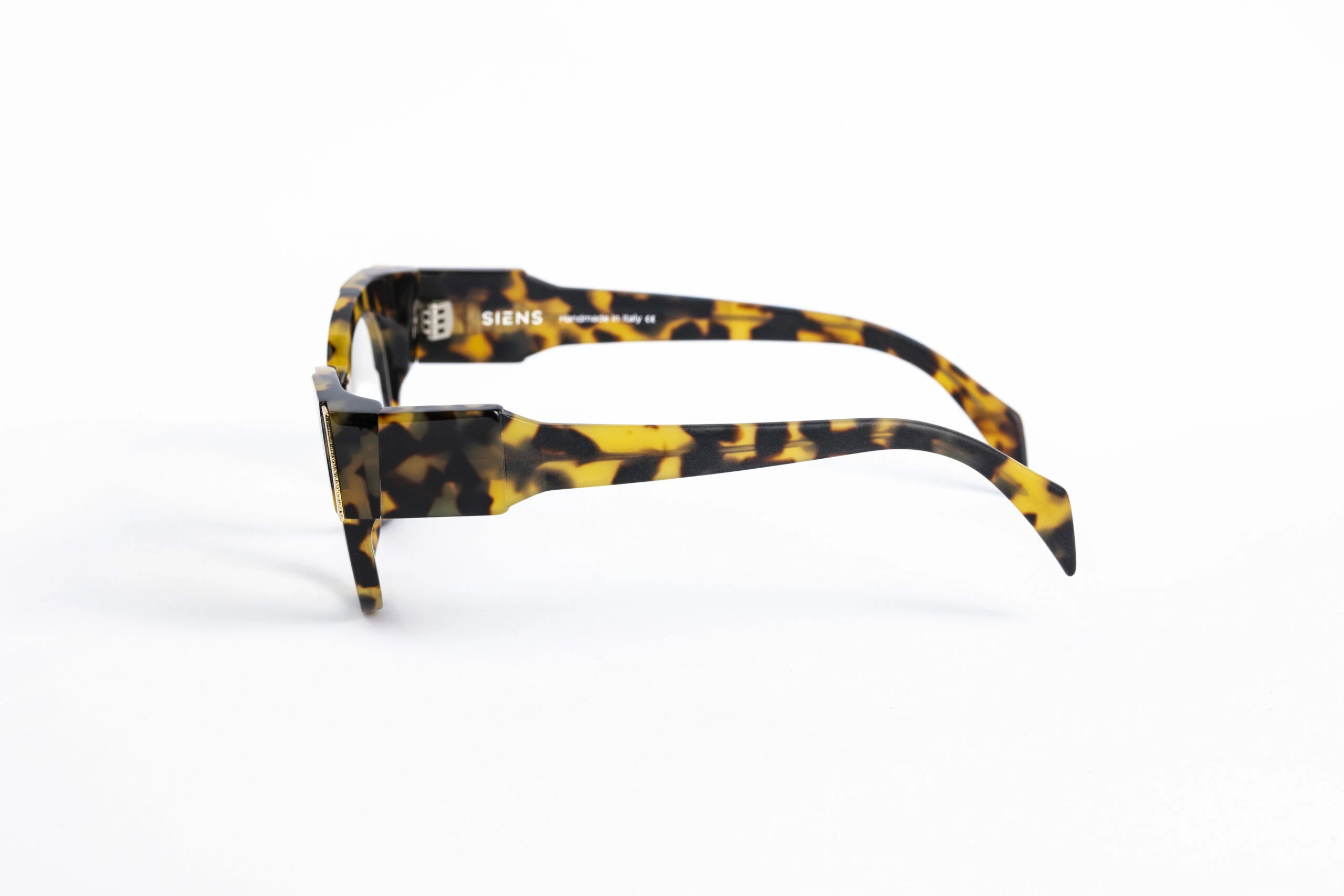 _V5A2039_003_DIECIDECIMI_GLASSTYLIST_SIENS_EYE_CODE_Creature_083_002_tartaruga_